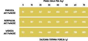 Wiejska Zagroda Indyk z gęsią dla psa 9kg